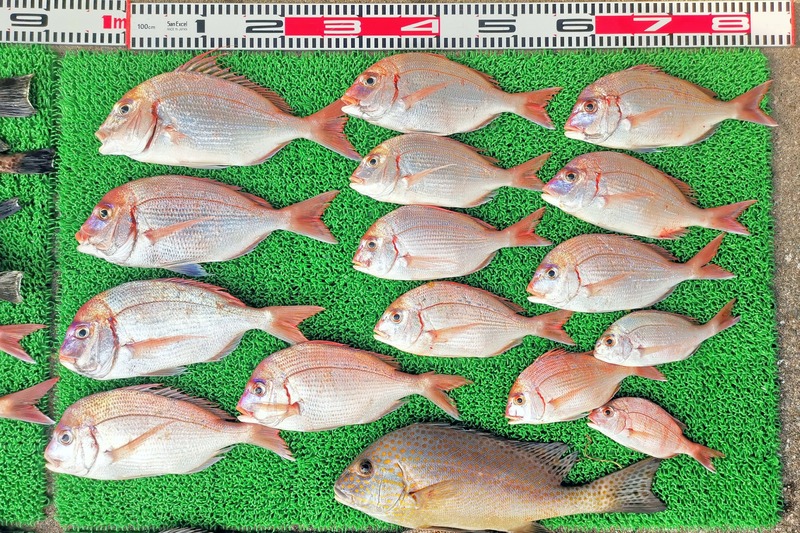 IMG_20251201_140707_edit_2823569672396231