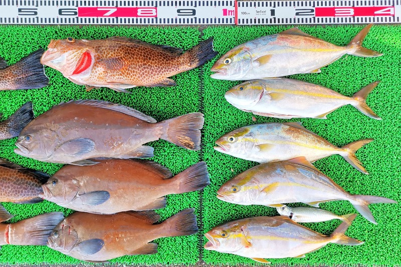 IMG_20251028_133221_edit_2100013059832680