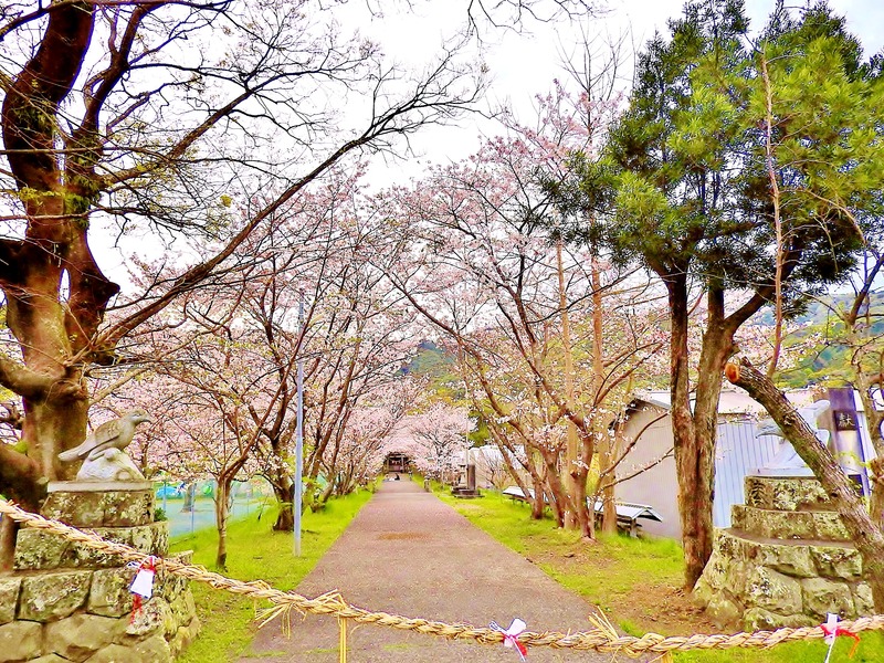 DSCN2238