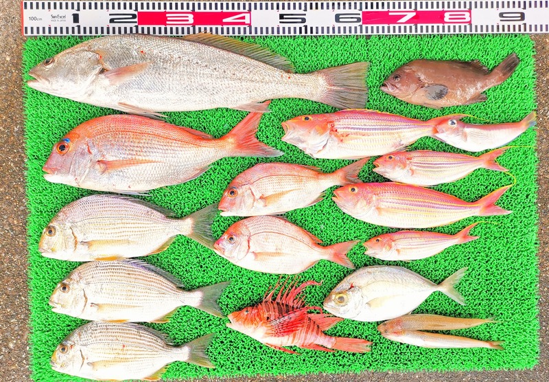 IMG_20251104_152008_edit_2270806263719119