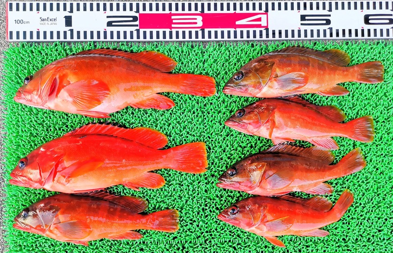 IMG_20251110_162409_edit_2377184825407053