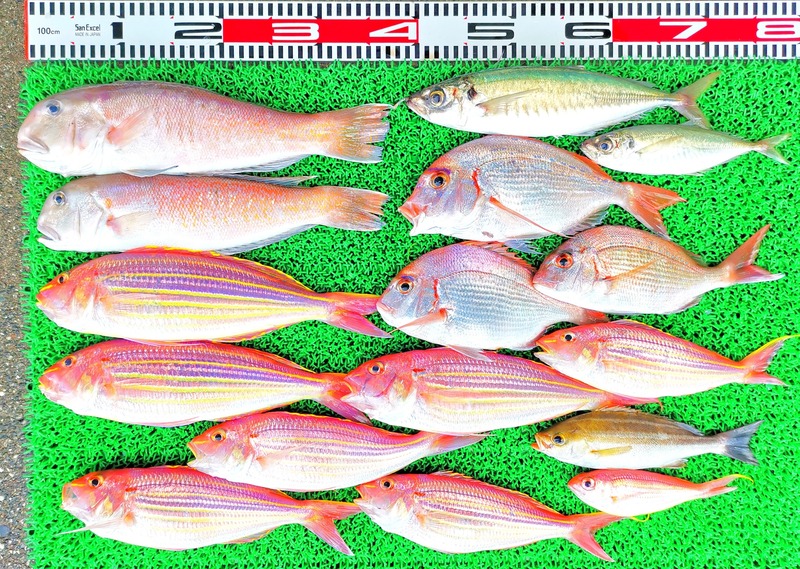 IMG_20220710_164214_edit_543642462245170