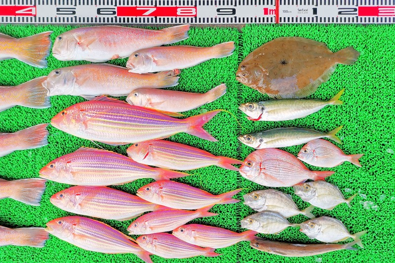 IMG_20251116_153426_edit_2501007853657430