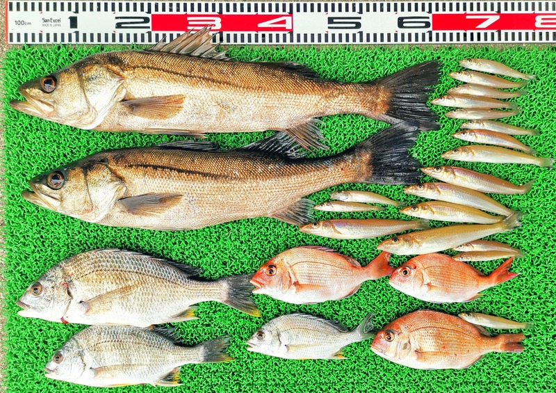 IMG_20220506_131519_edit_418020935639335