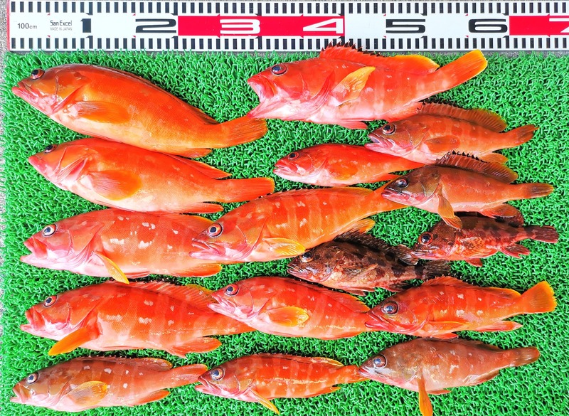 IMG_20230929_140309_edit_572144636535087