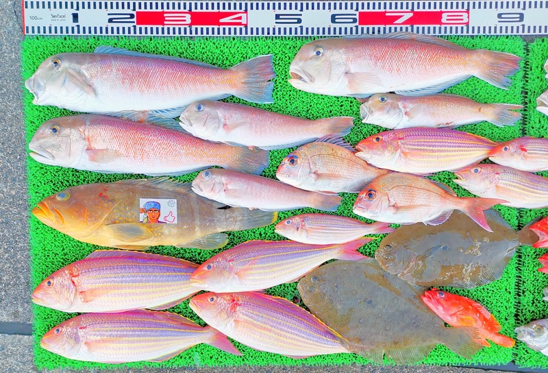 IMG_20241229_160749_edit_574715948804486