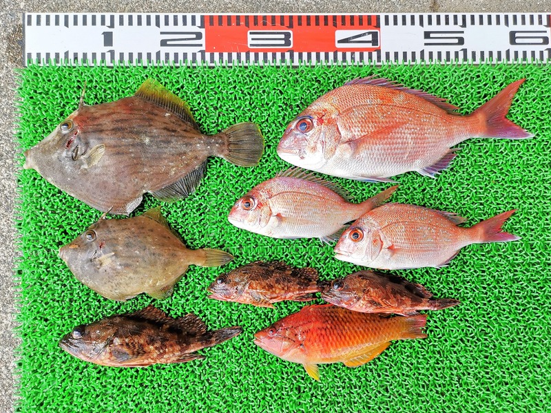 IMG_20210425_132916_edit_321584405128012