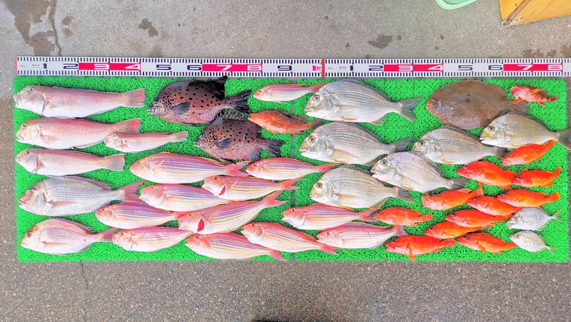 IMG_20251127_160855_edit_2735548186497162