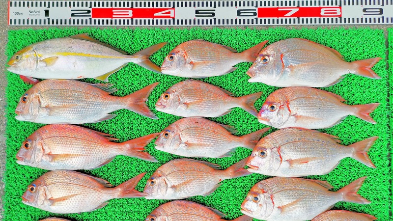 IMG_20231026_145909_edit_804201313988739