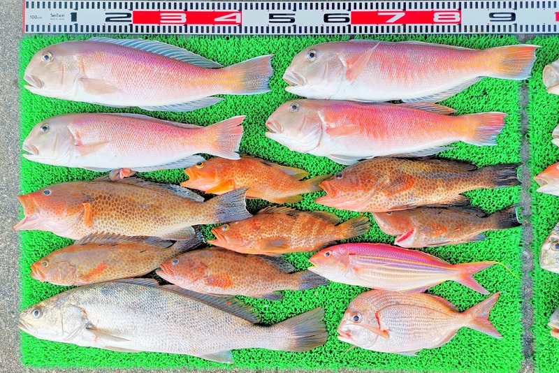 IMG_20251115_152650_edit_2482361846481629