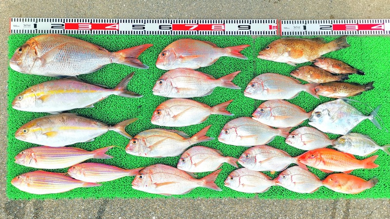 IMG_20251015_122721_edit_1827496676862805