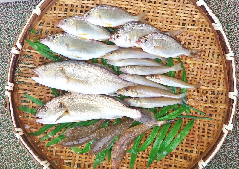 IMGP1996