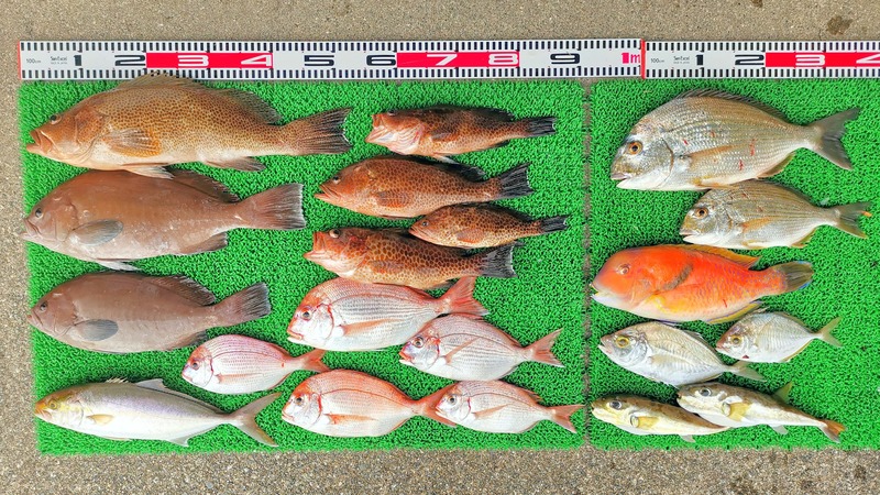 IMG_20251112_131224_edit_2413754665583765