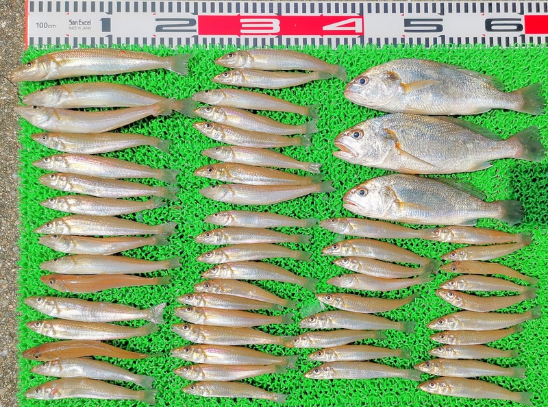 IMG_20220718_101238_edit_739848891519398