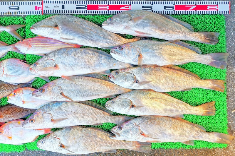 IMG_20251028_135624_edit_2100276110649307