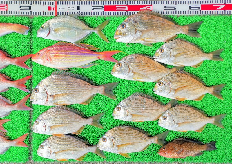 IMG_20241212_134310_edit_273764339070203