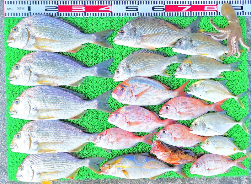 IMG_20230928_150936_edit_568235373529955