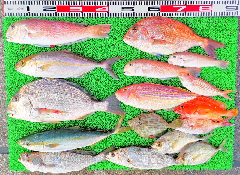 IMG_20241230_160956_edit_602883667003312