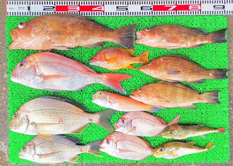 IMG_20251124_134720_edit_2675450842140187