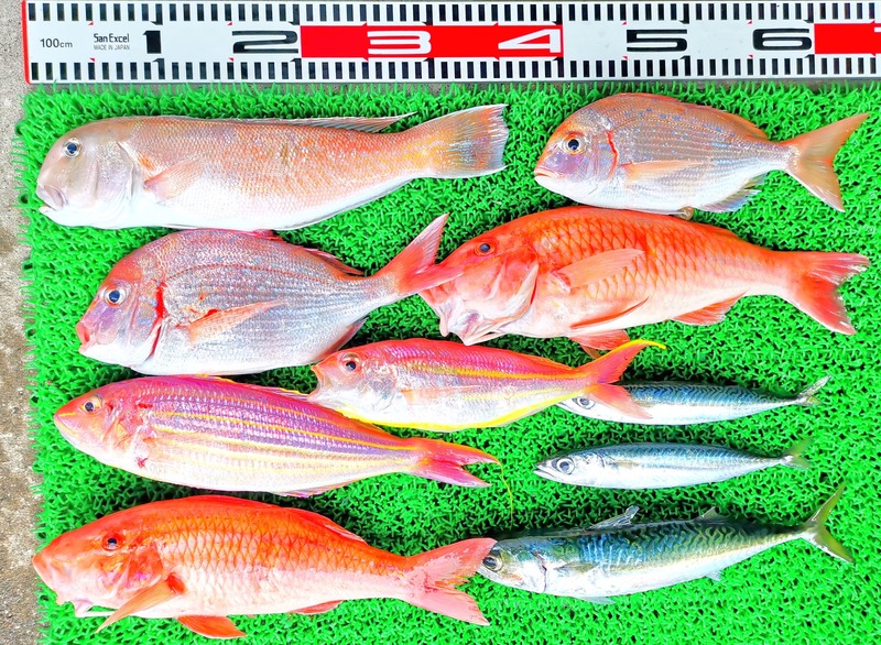 IMG_20220716_121902_edit_695615068640731