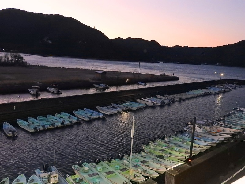 DSCN1649