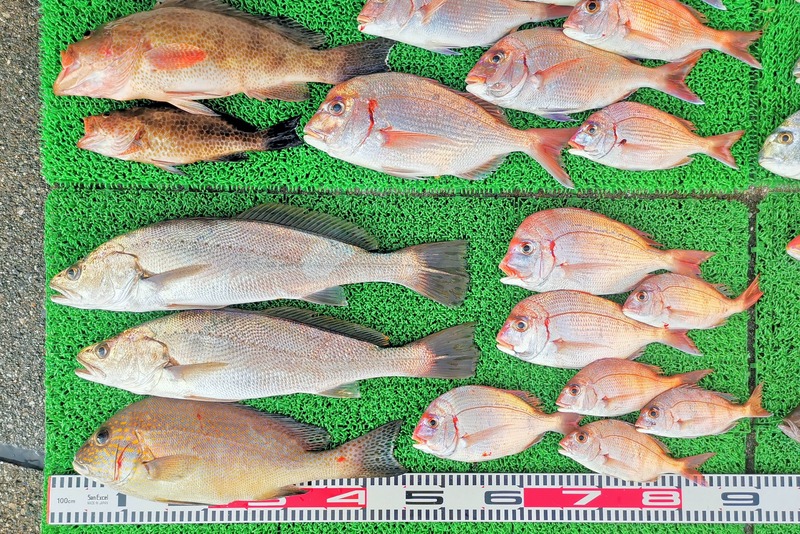 IMG_20251127_144234_edit_2734983783049852