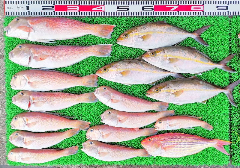 IMG_20250122_164729_edit_246614287229034