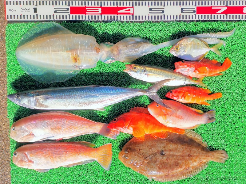 IMG_20251123_140251_edit_2652236125940604~2