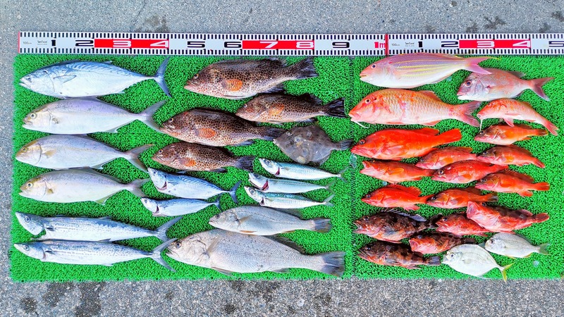 IMG_20251005_162928_edit_1604353305861958