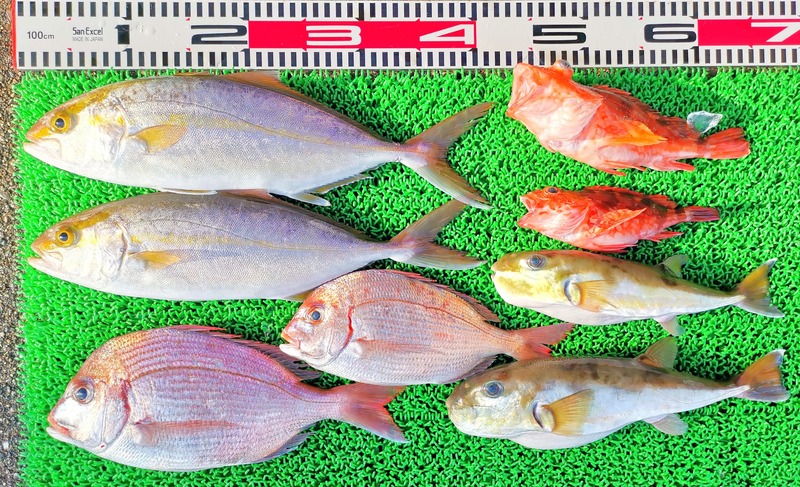 IMG_20241212_145834_edit_274019570680060