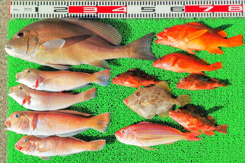 IMG_20241229_140854_edit_573771764199943