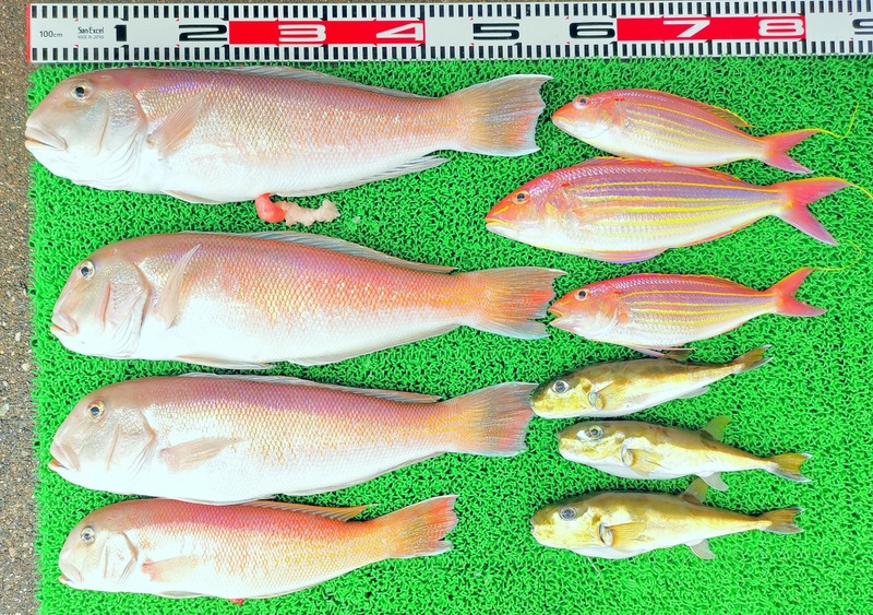 IMG_20250724_132029_edit_4708867982715319