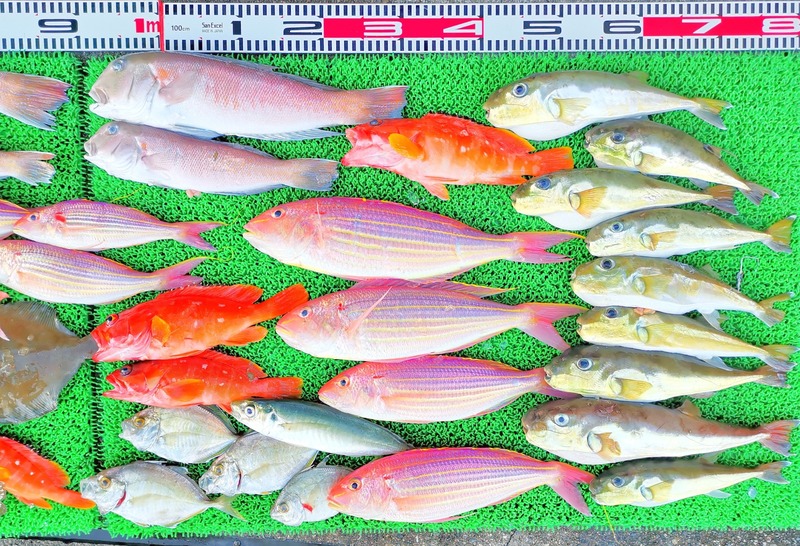 IMG_20241229_160756_edit_574783916220101