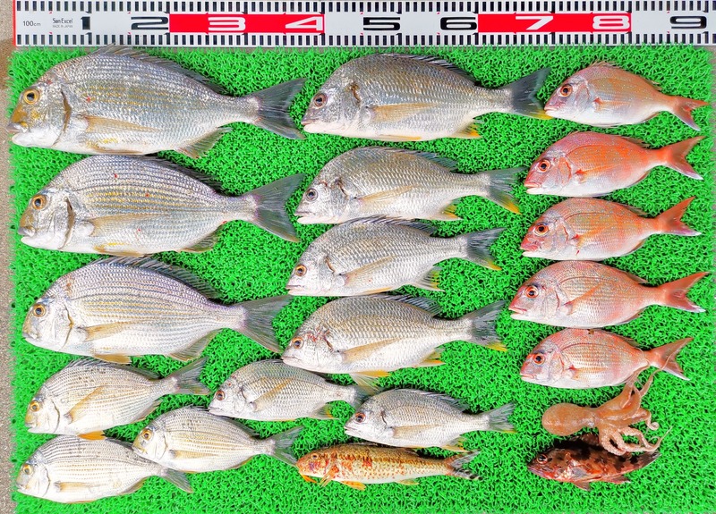 IMG_20220708_121138_edit_493995183232434