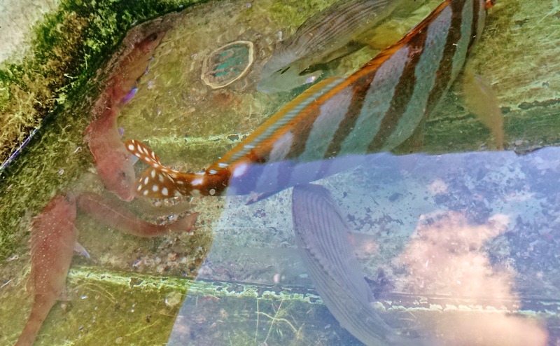 DSCPDC_0003_BURST20181001171753889_COVER