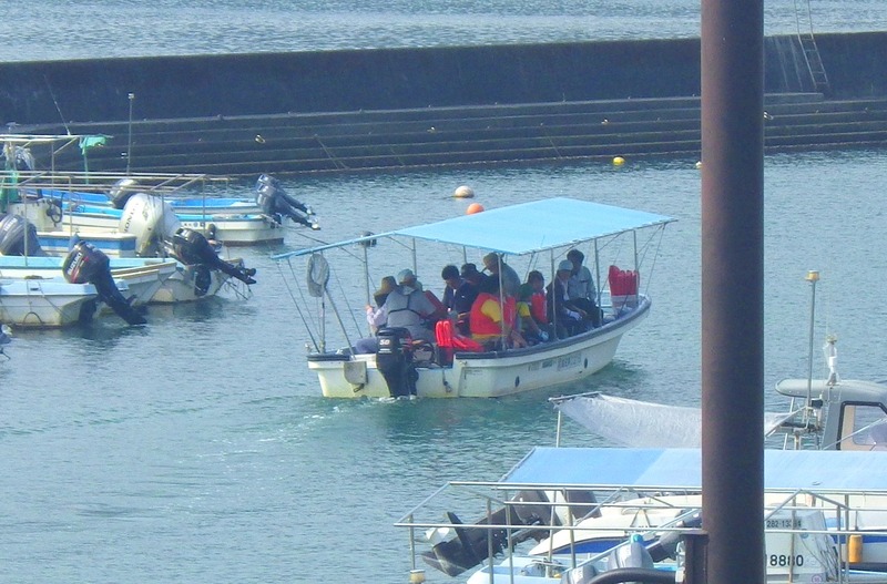 IMGP4503