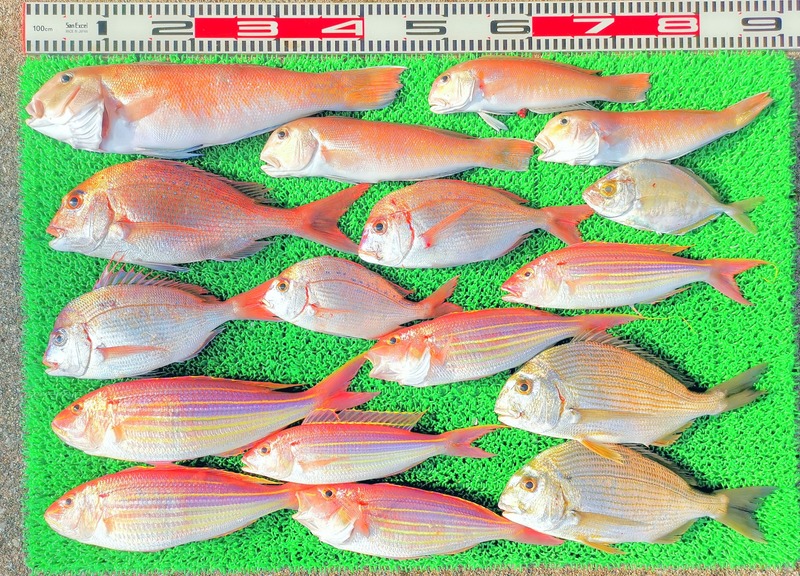 IMG_20251202_145857_edit_2858818471175228