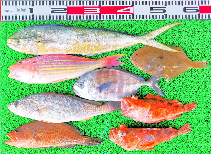 IMG_20230928_141544_edit_568147006667989