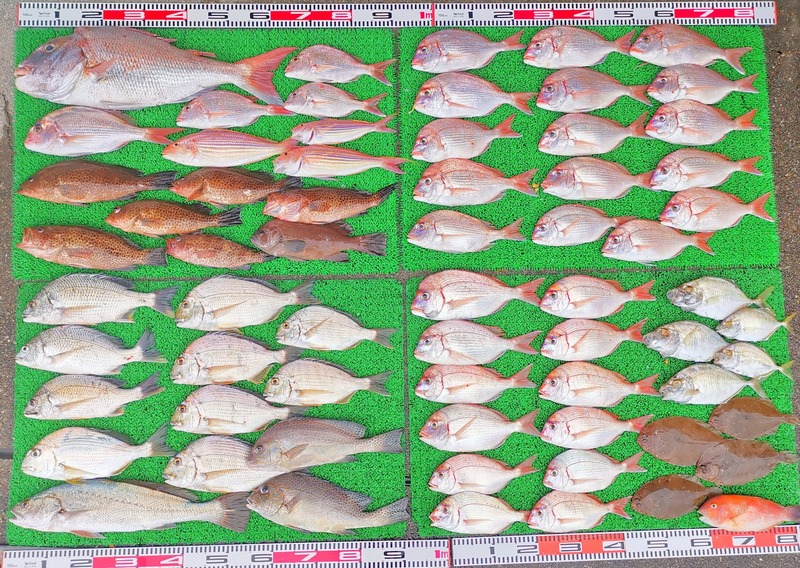 IMG_20251112_155543_edit_2414687463500810