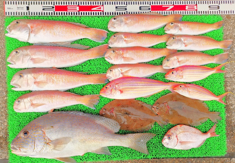 IMG_20241230_135321_edit_601709859570679