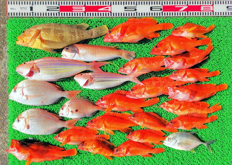 IMG_20251108_142521_edit_2343151591012767