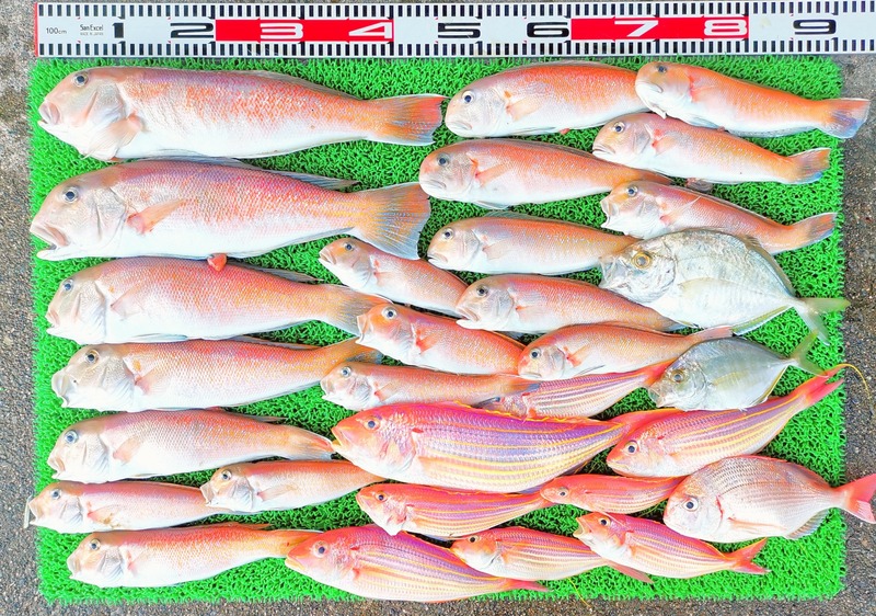 IMG_20251123_155602_edit_2652587484046800~2