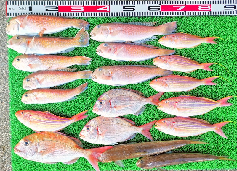 IMG_20260131_161725_edit_244877102608986