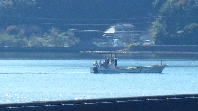 IMGP4818