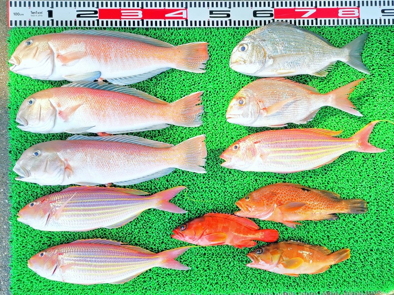 IMG_20251029_125228_edit_2126478043674475