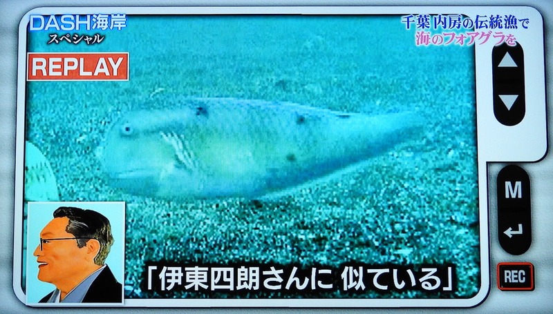 DSCN4836
