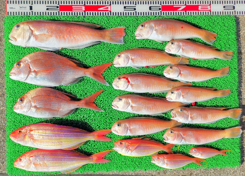 IMG_20250118_143442_edit_169315528642913