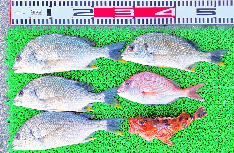 IMG_20220723_155017_edit_873034733661055