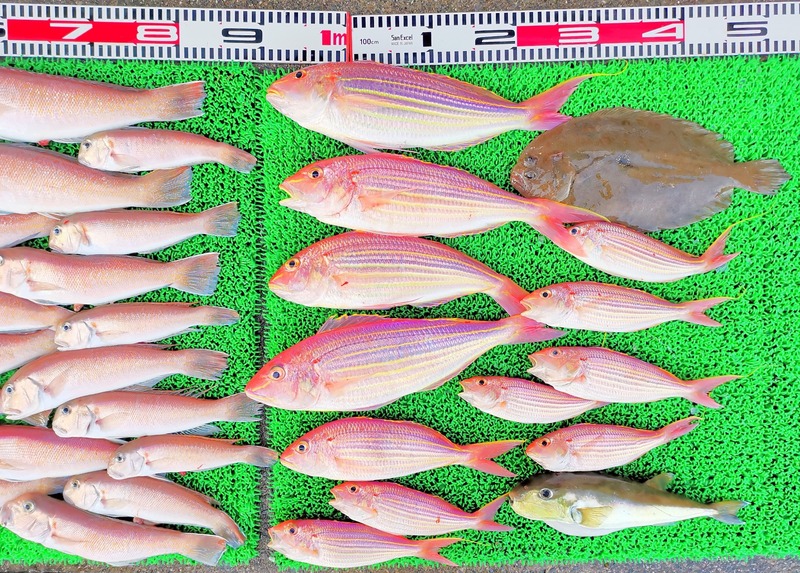 IMG_20241230_163822_edit_603119786079318