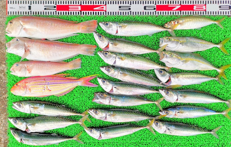 IMG_20220712_154910_edit_591944594646654